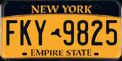 NY license plate FKY9825