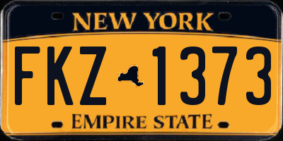 NY license plate FKZ1373