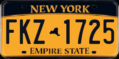 NY license plate FKZ1725