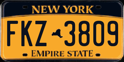NY license plate FKZ3809