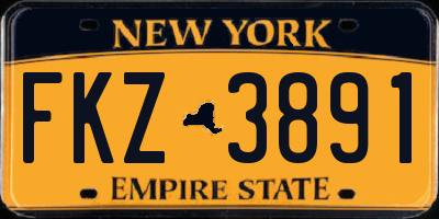 NY license plate FKZ3891