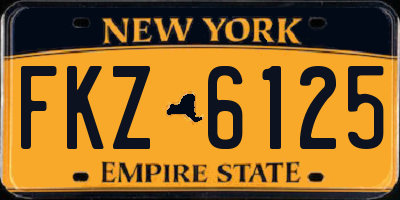 NY license plate FKZ6125