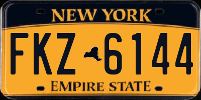 NY license plate FKZ6144