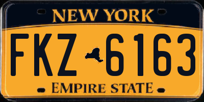 NY license plate FKZ6163