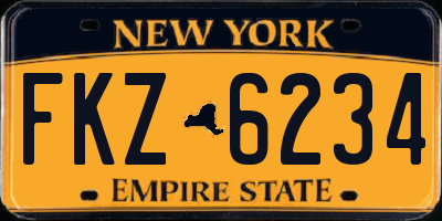NY license plate FKZ6234