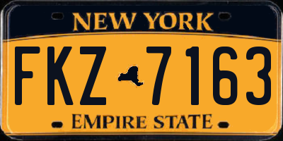NY license plate FKZ7163