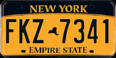 NY license plate FKZ7341