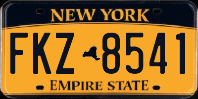 NY license plate FKZ8541