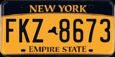 NY license plate FKZ8673