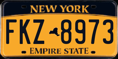 NY license plate FKZ8973