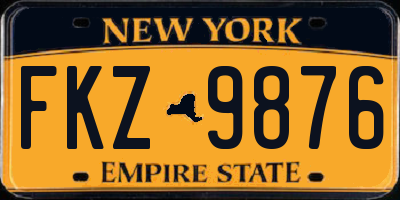 NY license plate FKZ9876