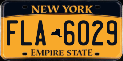 NY license plate FLA6029