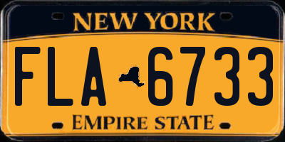 NY license plate FLA6733