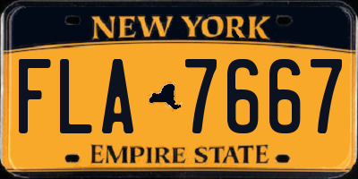 NY license plate FLA7667