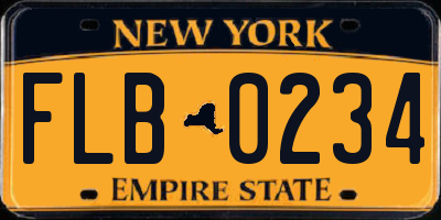 NY license plate FLB0234