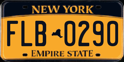 NY license plate FLB0290