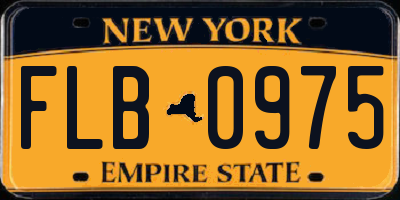 NY license plate FLB0975