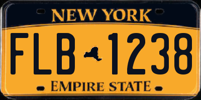 NY license plate FLB1238