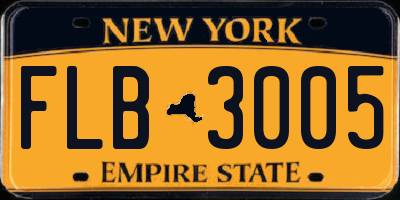 NY license plate FLB3005