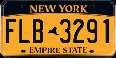 NY license plate FLB3291