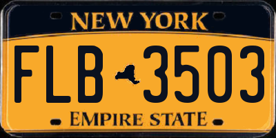 NY license plate FLB3503