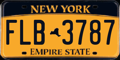 NY license plate FLB3787