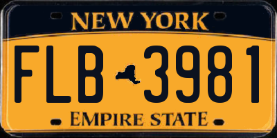 NY license plate FLB3981