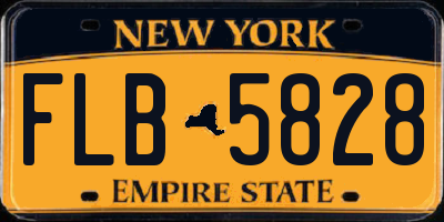 NY license plate FLB5828