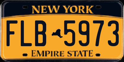 NY license plate FLB5973
