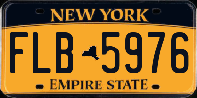 NY license plate FLB5976