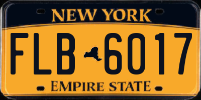 NY license plate FLB6017