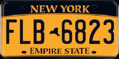 NY license plate FLB6823
