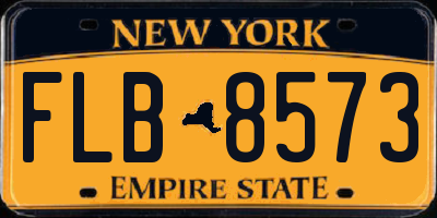 NY license plate FLB8573
