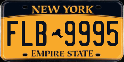 NY license plate FLB9995