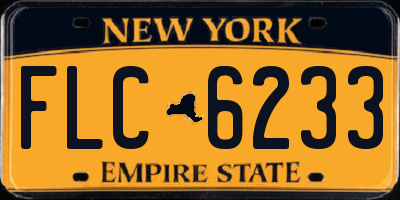 NY license plate FLC6233