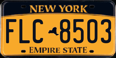 NY license plate FLC8503