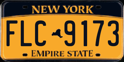 NY license plate FLC9173