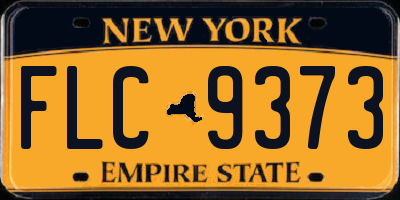 NY license plate FLC9373