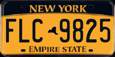 NY license plate FLC9825