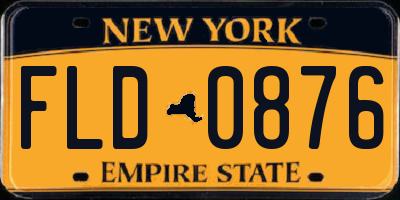 NY license plate FLD0876