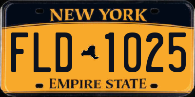 NY license plate FLD1025