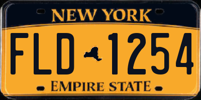 NY license plate FLD1254