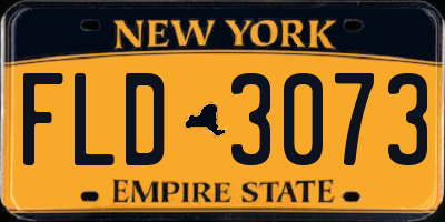 NY license plate FLD3073
