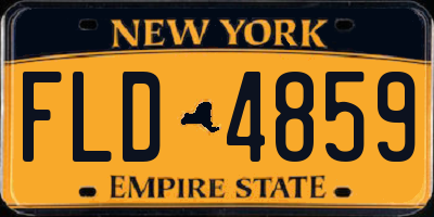 NY license plate FLD4859