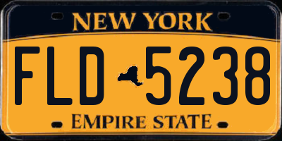 NY license plate FLD5238
