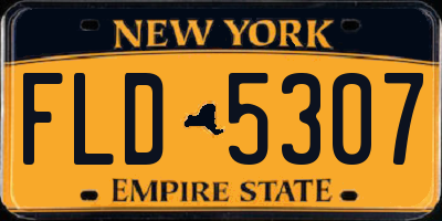 NY license plate FLD5307