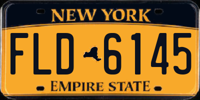 NY license plate FLD6145