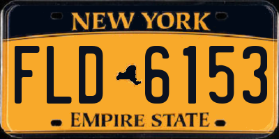 NY license plate FLD6153