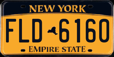 NY license plate FLD6160