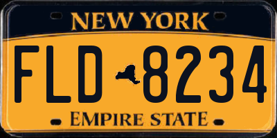 NY license plate FLD8234